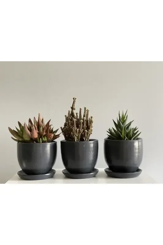 3'li Mini Saksilar to'plami 10cmx12cm Antratsit Rang-Antratsit - 1