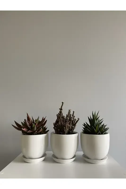 3'lü Mini Saksı Seti 10cmx12cm Beyaz Renk-Beyaz - 1