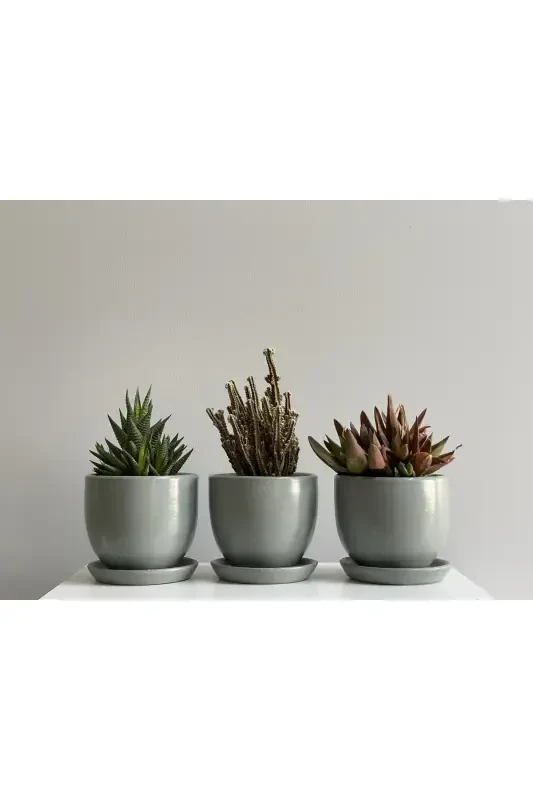 3'lü Mini Saksı Seti 10cmx12cm Füme Renk-Füme - 1