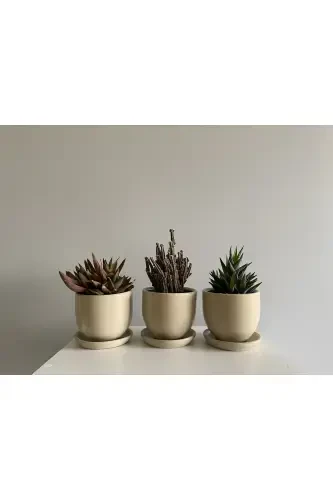 3'lü Mini Saksı Seti 10cmx12cm Taş Renk-Taş - 1