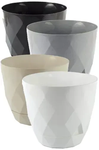 4 Adet Mini Bo'yi 4 Yorqin Rangli Kaktus Sukulent Va Gul Ko'chatlari To'plami Yakamoz No 0-0 N0 - 1