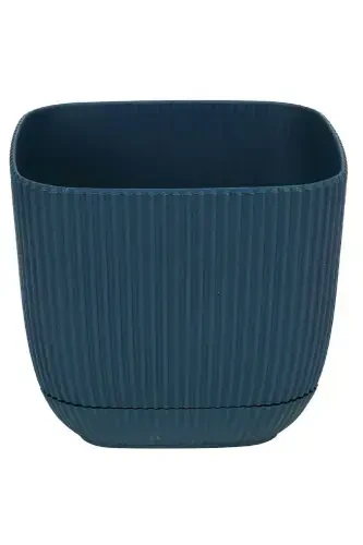 4 Adet No 4 Dekoratif Kaktüs Va Gul Ko'chatlari Kvadrat Ko'chat 4 Lt-NO4KARE - 6