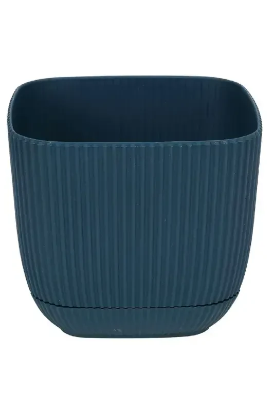 4 Adet No 4 Dekoratif Kaktüs Va Gul Ko'chatlari Kvadrat Ko'chat 4 Lt-NO4KARE - 6