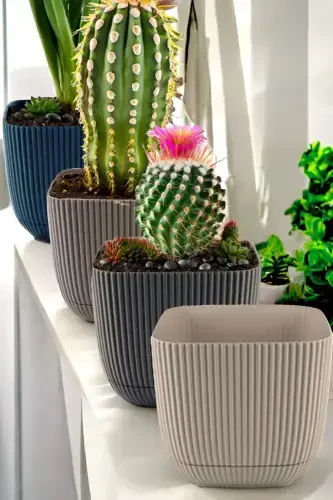 4 Adet No 4 Dekoratif Kaktüs Ve Çiçek Saksı Kare Saksı 4 Lt-NO4KARE - 2