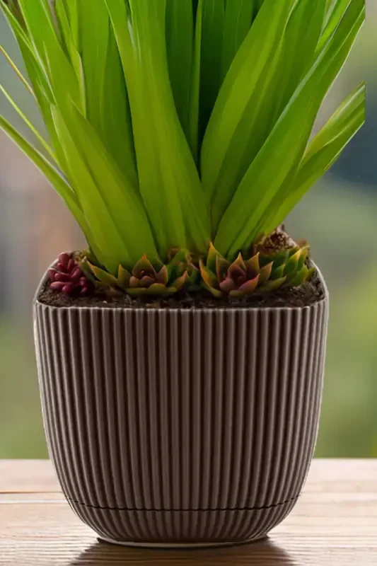 4 Adet No 4 Dekoratif Kaktüs Ve Çiçek Saksı Kare Saksı 4 Lt-NO4KARE - 7