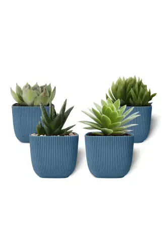 4 Dona 0.27 Litr Moviy Marjon Kvadrat Kosachasi Mini O'lchamli Kaktus Sukulent Kosachasi Taglikli Plastik Kosacha-KO'K - 1