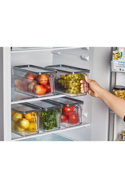 4-Handle Filtered Cabinet Organizer - OPEN HOME CONCEPT (1)