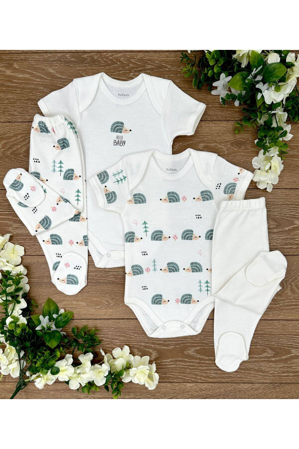 4 Parça Organik Pamuk Kız Bebek Çıtçıtlı Badi ve Patikli Alt Pijama Takımı Kirpi - 1