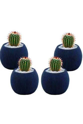 4 Pcs 0.15 Liter Mini Coral Cactus Succulent Pot Tiny Plastic Pot No 1-Blue - 1