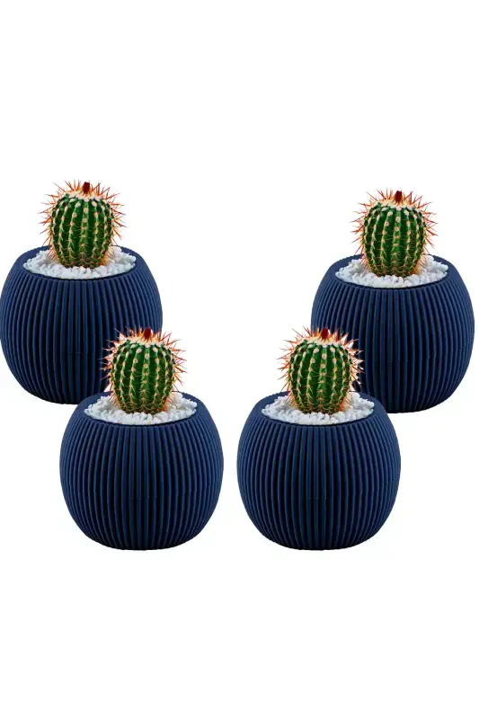 4 Pcs 0.15 Liter Mini Coral Cactus Succulent Pot Tiny Plastic Pot No 1-Blue - TEMMUZ HOME