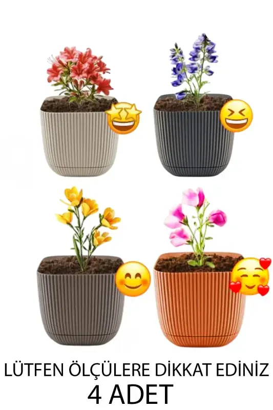 4 Pcs 2 No Square Multi Colored Coral Square Cactus And Succulent Pot Set-2'NO SQUARE - TEMMUZ HOME