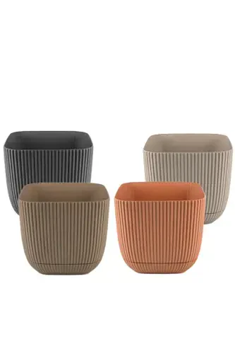 4 Pcs 2 No Square Multi Colored Coral Square Cactus And Succulent Pot Set-2'NO SQUARE - 3