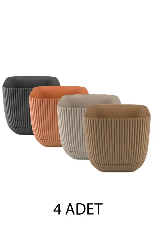 4 Pcs 2 No Square Multi Colored Coral Square Cactus And Succulent Pot Set-2'NO SQUARE - 4