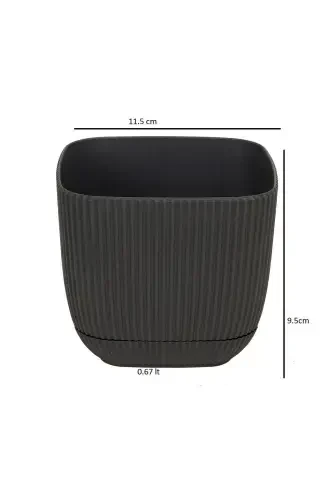 4 Pcs 2 No Square Multi Colored Coral Square Cactus And Succulent Pot Set-2'NO SQUARE - 5