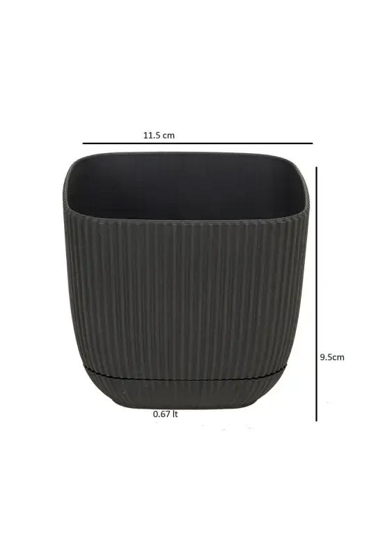 4 Pcs 2 No Square Multi Colored Coral Square Cactus And Succulent Pot Set-2'NO SQUARE - 5