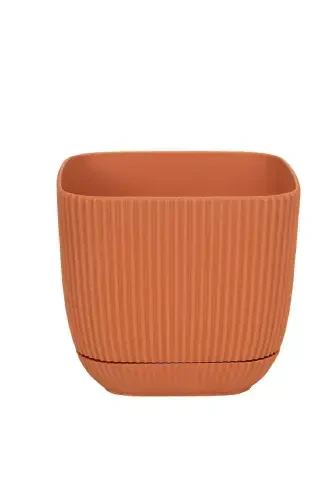 4 Pcs 2 No Square Multi Colored Coral Square Cactus And Succulent Pot Set-2'NO SQUARE - 6