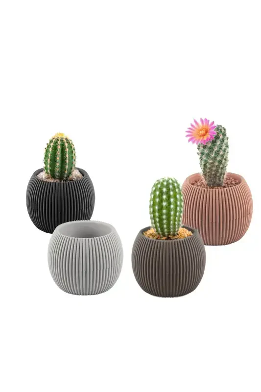 4 Pcs 4 Color 0.15 Liter Mixed Colored Mini Coral No1 Cactus and Succulent Pot-ASSORTED - TEMMUZ HOME