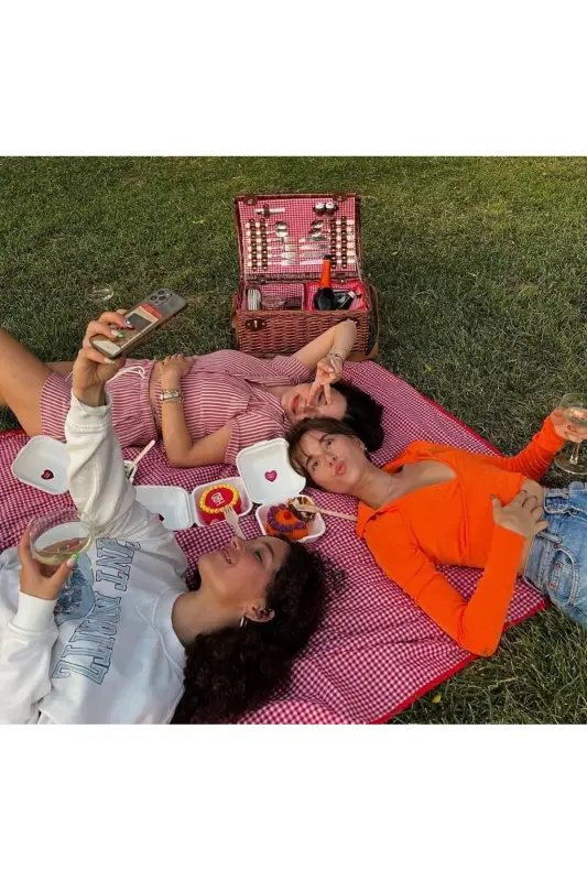 4 Person Picnic Basket with Checkered Pattern (nz-06) - 5