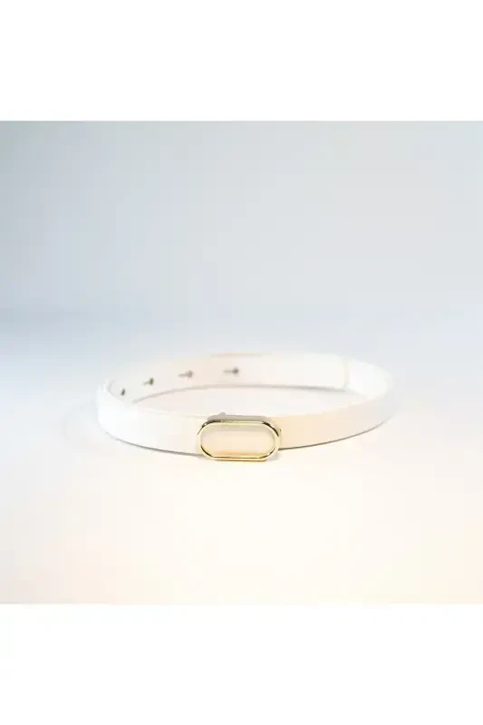 4-Piece Imported Oval Gold Buckle Thin Belt, Trousers Belt, Shirt Belt, Jacket Belt - 5