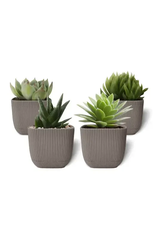 4 Pieces 0.27 Liter Coffee Coral Square Pot Mini Size Cactus Succulent Pot with Saucer Plastic Pot-COFFEE - 1