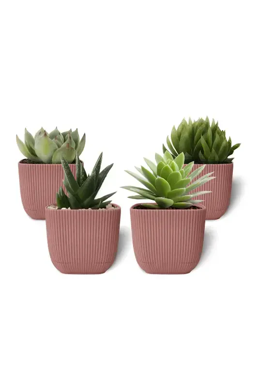 4 Pieces 0.27 Liter Pink Coral Square Pot Mini Size Cactus Succulent Pot with Saucer Plastic Pot-PINK - TOXA