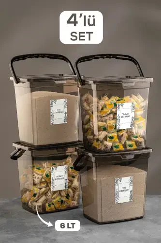 4 ta Etiketli Qopqoqli Yuvish Vositasi Saqlash Idishidan Iborat To'plam - Ko'chma Tabletka Yuvish Vositasi Saqlash Qutisi Platina - 1