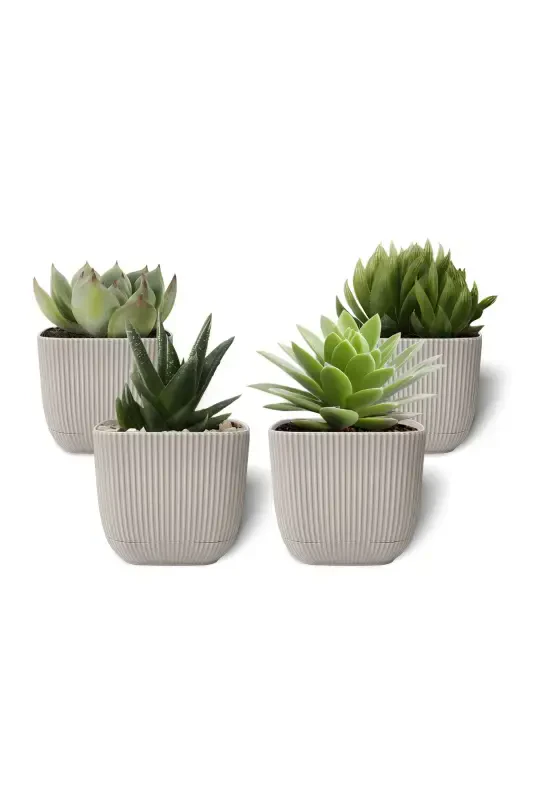 4 Units 0.27 Liter Beige Coral Square Pot Mini Size Cactus Succulent Pot with Saucer Plastic Pot-BEIGE - 1