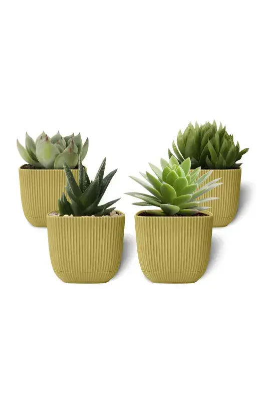 4 Units 0.27 Liter Yellow Coral Square Pot Mini Size Cactus Succulent Pot Saucered Plastic Pot-YELLOW - TOXA