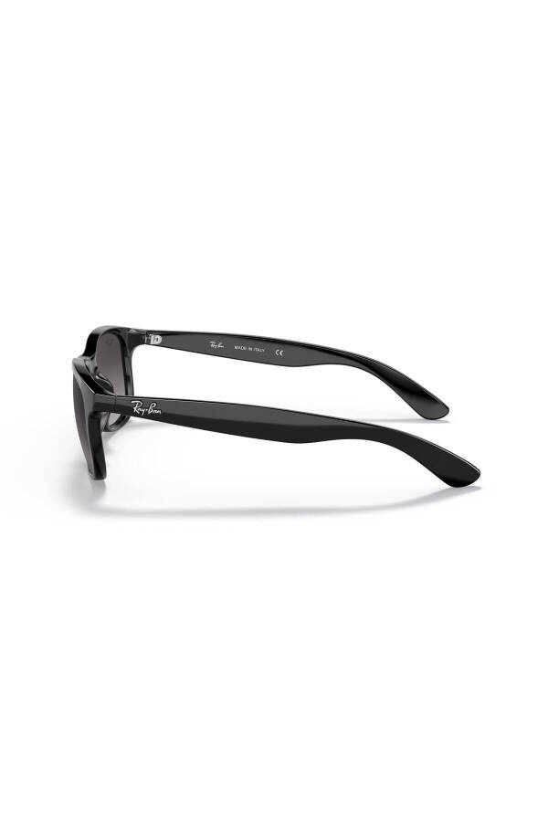 4202 601/8g 55 Men's Sunglasses - 2