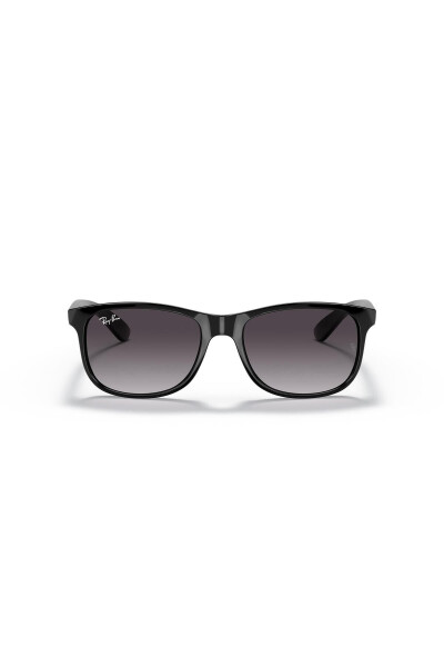 4202 601/8g 55 Men's Sunglasses - 5