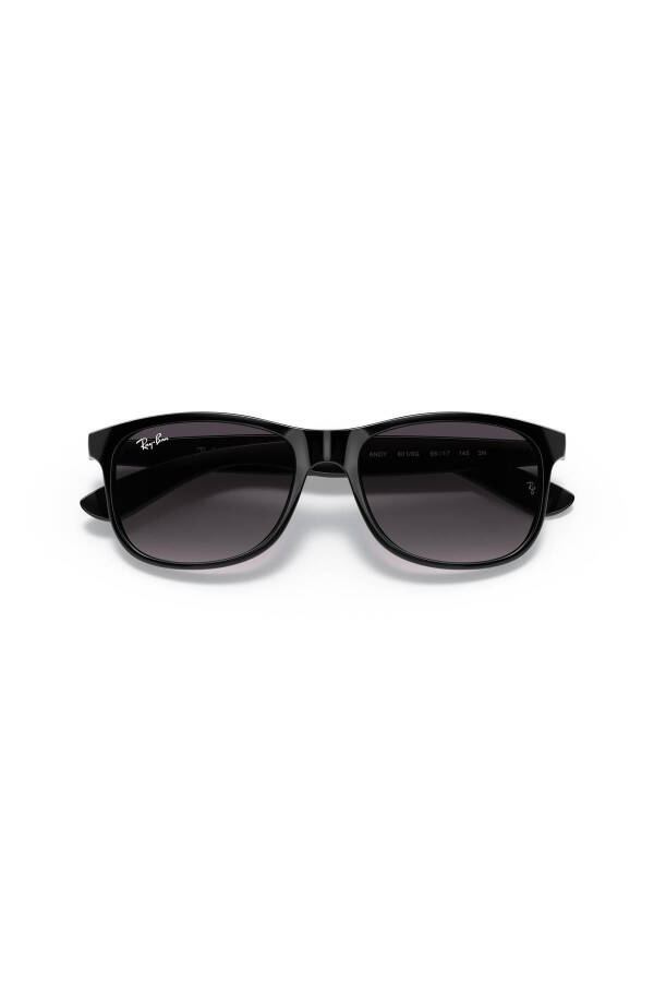 4202 601/8g 55 Men's Sunglasses - 6