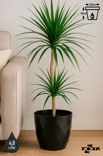 4,8 литра 22см Бахлава Узорчатый Перфорированный Поддон Декоративный Пластиковый Горшок Yakamoz No4-АНТРАЦИТ - 1