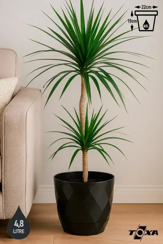 4,8 Litre 22cm Baklava Desenli Delikli Tabaklı Dekoratif Plastik Saksı Yakamoz No4-ANTRASİT - 1