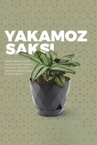 4,8 Litre Bej Prizma Desenli Tabaklı Plastik Saksı Yakamoz No4 Ø22x19,3cm-BEJ - 5