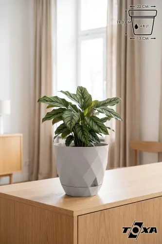 4,8 Litre Bej Prizma Desenli Tabaklı Plastik Saksı Yakamoz No4 Ø22x19,3cm - BEJ 