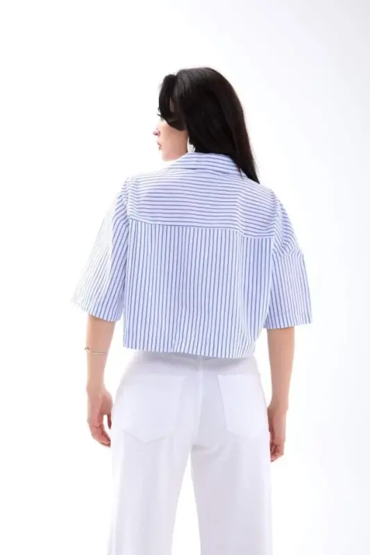 4873 SHIRT-WASHINGTON STRIPED - 2