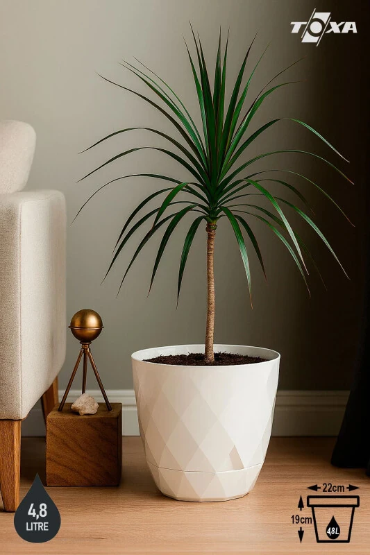 4.8lt Ø22x19.3cm Decorative Plastic Flower Pot with Plate Yakamoz No4 White with Baklava Pattern - TOXA