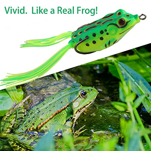 5PCS Topwater Frog Lures Set with Box, Realistic Soft Hollow Body Fishing Lures for Bass Snakehead Pike Bowfin, Weedless Freshwater Simulated Frog Baits - JEORONULY (1)