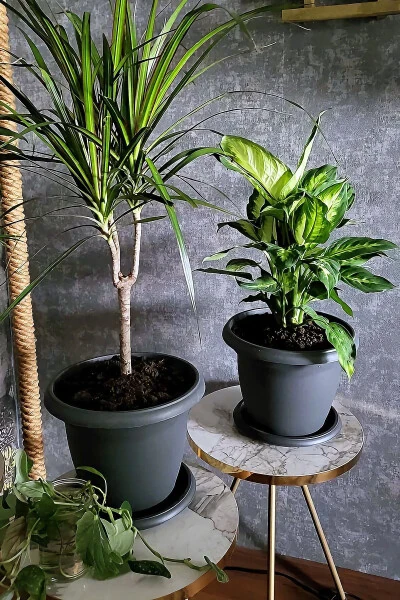 5 Litre Ø26x19cm Saucered Matte Plastic Medium Round Flowerpot Villa No6 Anthracite Grey - 6