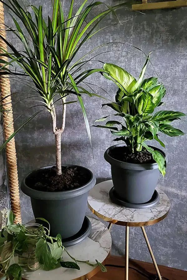 5 Litre Ø26x19cm Saucered Matte Plastic Medium Round Flowerpot Villa No6 Anthracite Grey - 6