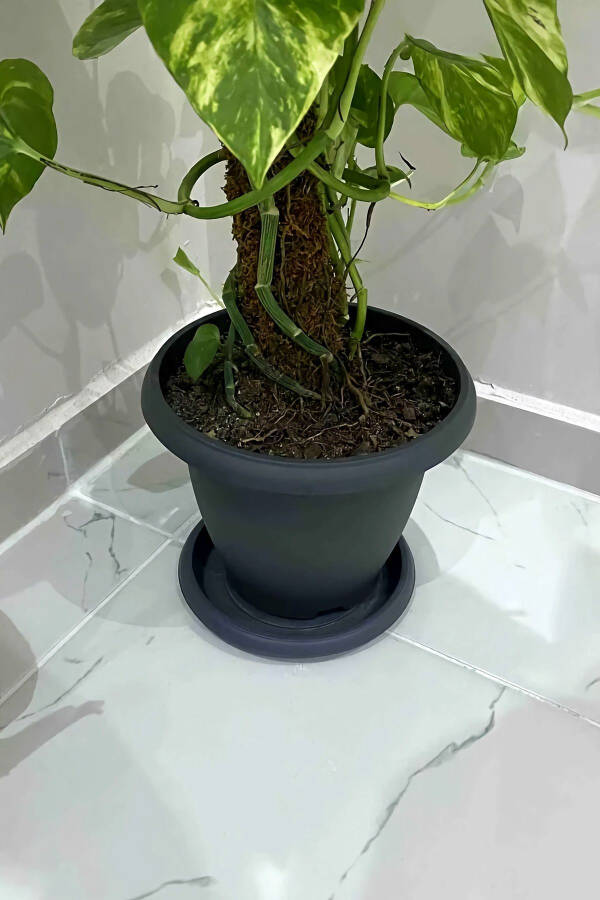 5 Litre Ø26x19cm Tabaklı Mat Plastik Orta Boy Yuvarlak Saksı Villa No6 Antrasit Gri - 5L - 3