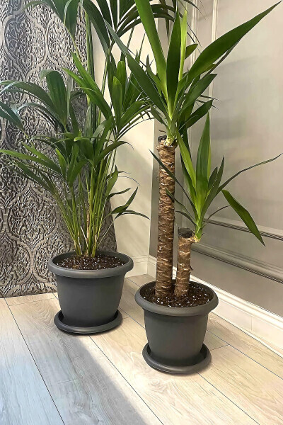 5 Litre Ø26x19cm Tabaklı Mat Plastik Orta Boy Yuvarlak Saksı Villa No6 Antrasit Gri - 5L - 5