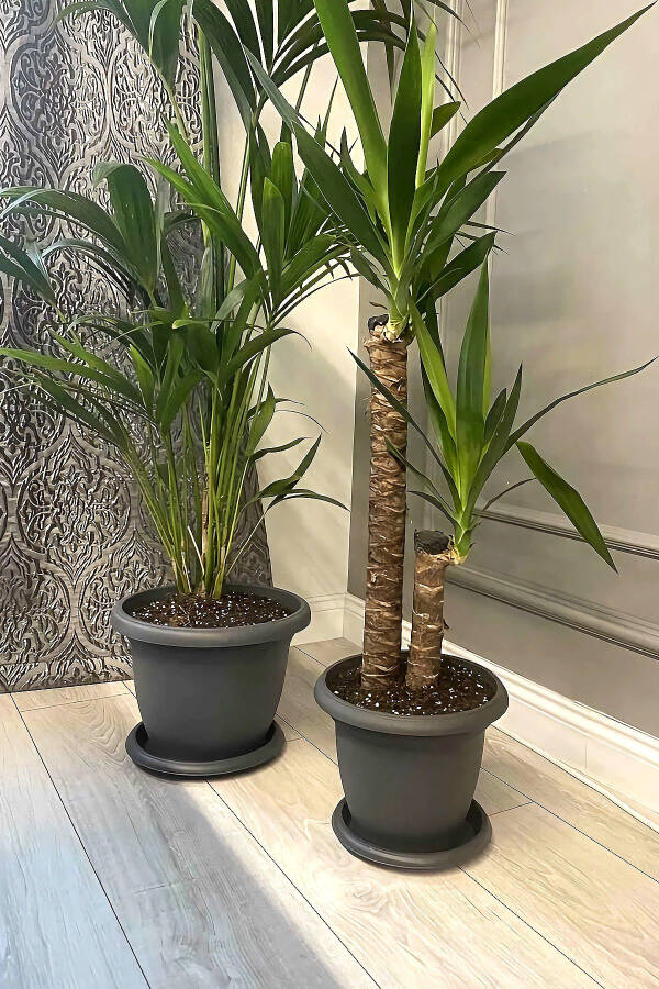 5 Litre Ø26x19cm Tabaklı Mat Plastik Orta Boy Yuvarlak Saksı Villa No6 Antrasit Gri - 5L - 5