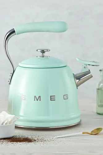 50's Style Pastel Yeşil Set Üstü Düdüklü Kettle 2.3 Lt - Pastel Yeşil - 1