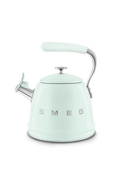 50's Style Pastel Green Stovetop Pressure Cooker 2.3 L - 15