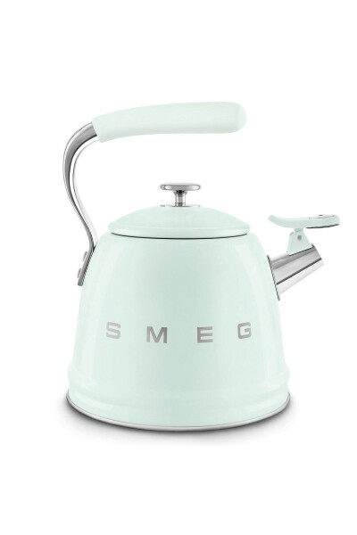 50's Style Pastel Green Stovetop Pressure Cooker 2.3 L - 16