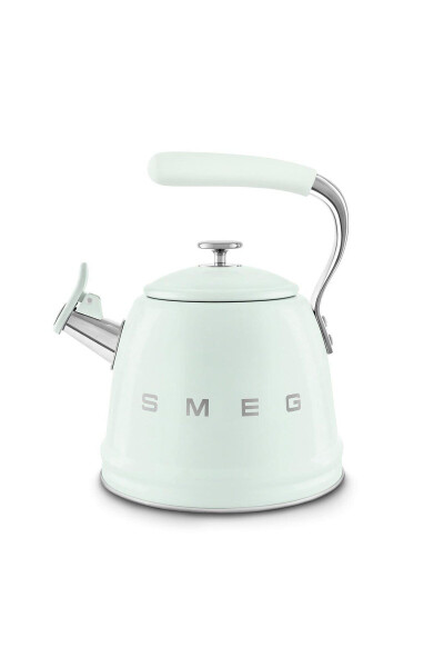 50's Style Pastel Green Stovetop Pressure Cooker 2.3 L - 8