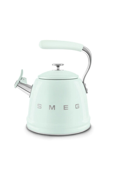 50's Style Pastel Green Stovetop Pressure Cooker 2.3 L - 1