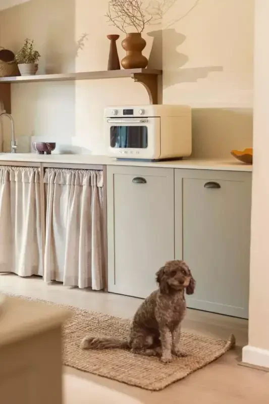 50s Style Retro Steam Mini Oven COF01 - SMEG