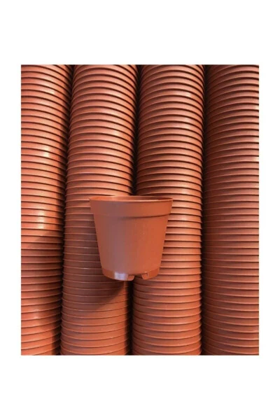 5.5 Cm Succulent Cactus Pot 50 Pcs (Brown) - TEKPAR